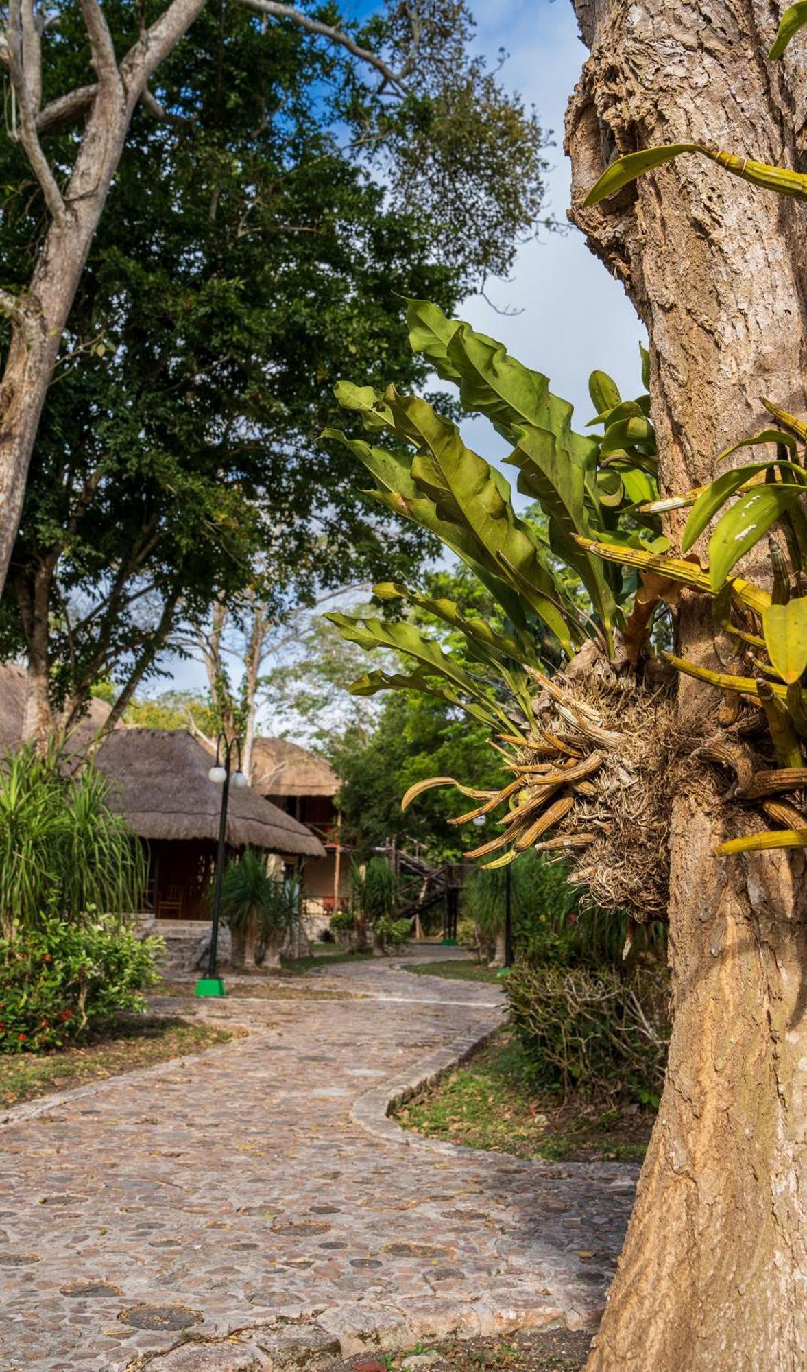 Hotel Villas Chicanna Buitenkant foto